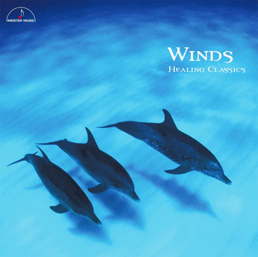 女生的隐藏图清晰图片
